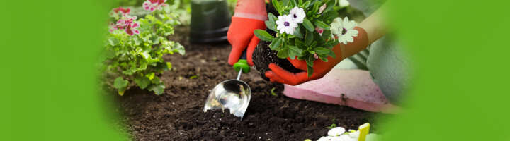 pflanzzubehoer kategorieeinstiegsbanner